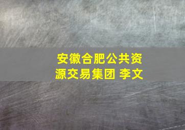 安徽合肥公共资源交易集团 李文